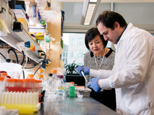 A man uses a pipette at a lab bench while Li-Huei Tsai looks on