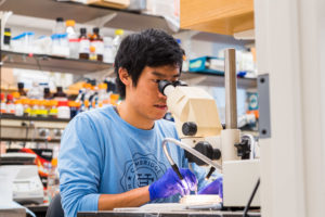 Justin Chen at a stereoscope.