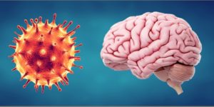 coronavirus and a brain